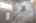 Blurred preview of media: IMG_2460