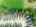 Blurred preview of media: 69 YVONNE CRES web-41