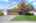 Blurred preview of media: 1-1935_SE_52nd_Ave
