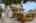 Blurred preview of media: 1-3