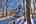 Blurred preview of media: IMG_9754_5_6_easyHDR