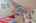 Blurred preview of media: IMG_2350_1_2