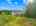 Blurred preview of media: 1-826-0967