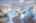 Blurred preview of media: 13