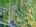 Blurred preview of media: DJI_20250602145440_0613_D_4_D_5_D_easyHDR