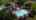 Blurred preview of media: DJI_0232