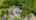 Blurred preview of media: Outline4