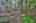 Blurred preview of media: 9zzw