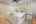 Blurred preview of media: PAX_0545