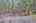 Blurred preview of media: IMG_9694_5_6_easyHDR