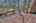 Blurred preview of media: IMG_9775_6_7_easyHDR