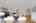 Blurred preview of media: 260115-4