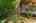 Blurred preview of media: 1-46