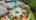 Blurred preview of media: riverglen-41