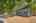 Blurred preview of media: 1-3