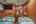 Blurred preview of media: Dorothy Gayle-5