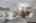 Blurred preview of media: 5