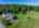 Blurred preview of media: 321 Princeton Road Sterling MA 0182