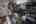 Blurred preview of media: Dorothy Gayle-26