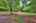 Blurred preview of media: IMG_1003_4_5_easyHDR