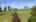 Blurred preview of media: IMG_6197