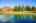 Blurred preview of media: IMG_1335
