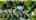 Blurred preview of media: 65