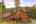 Blurred preview of media: 0314 Coronet Drive, Blue River, Colorado, 80424 - Web-62