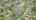 Blurred preview of media: DJI_20261001124718_0809_D