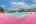 Blurred preview of media: 028