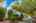 Blurred preview of media: 2-826-5647