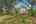 Blurred preview of media: 1309 Hideaway Drive S-16