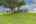 Blurred preview of media: iPixx_00_1