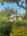 Blurred preview of media: IMG_0191