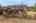 Blurred preview of media: 02