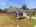 Blurred preview of media: 1342_Kensington_Circle_Cookeville_028