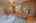 Blurred preview of media: IMG_2485_6_7