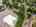 Blurred preview of media: DJI_0358