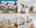 Blurred preview of media: 1