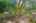 Blurred preview of media: SW 41st ave-55