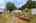 Blurred preview of media: 1-26