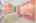 Blurred preview of media: Nerine_096