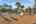 Blurred preview of media: Aberdean-40