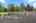 Blurred preview of media: 1-61