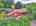 Blurred preview of media: DJI_20260625122952_0456_D_7_D_8_D_easyHDR