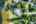 Blurred preview of media: DJI_0769 copy 2