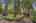 Blurred preview of media: 1-61