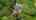 Blurred preview of media: Stonegate-7