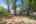 Blurred preview of media: 198 Borden Rd (66)
