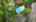 Blurred preview of media: DJI_0380